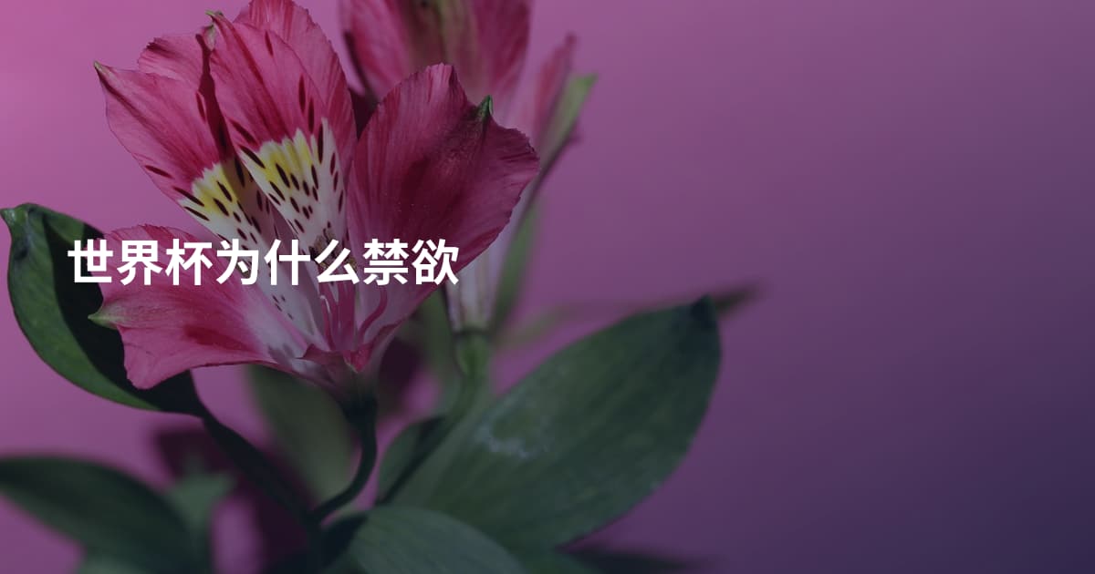 世界杯为什么禁欲