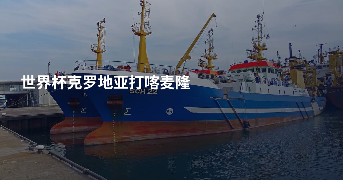 世界杯克罗地亚打喀麦隆