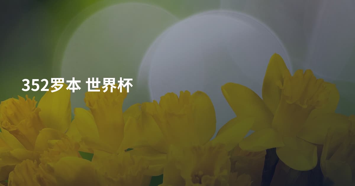 352罗本 世界杯
