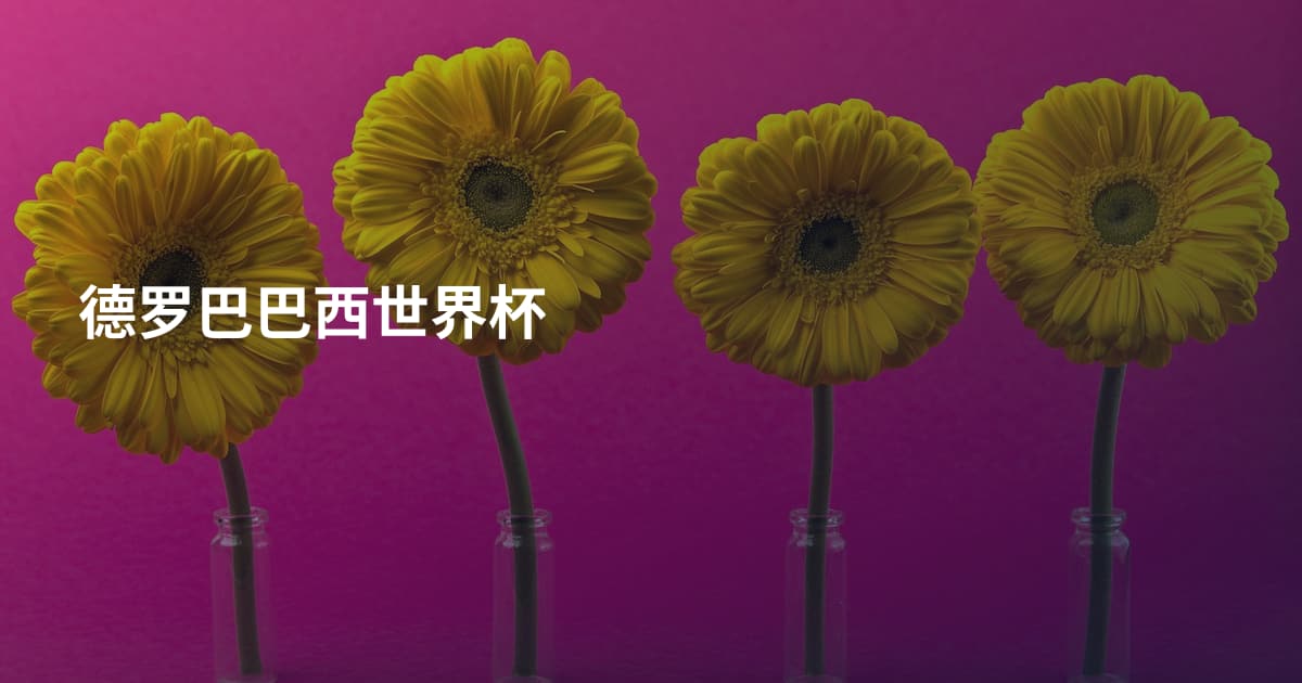 德罗巴巴西世界杯