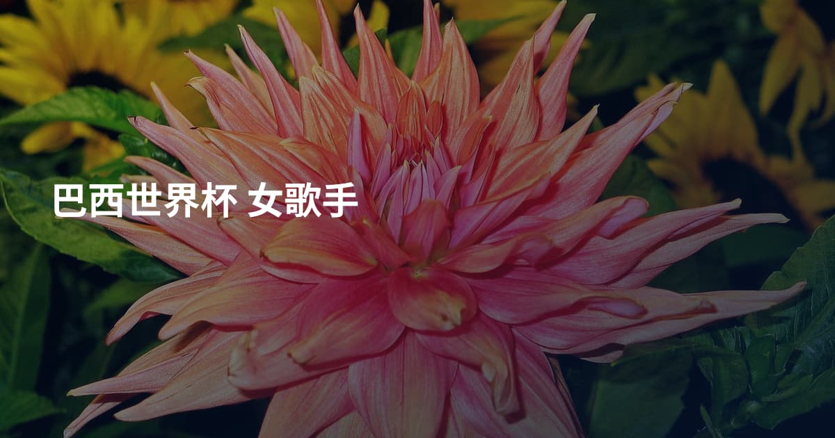巴西世界杯 女歌手