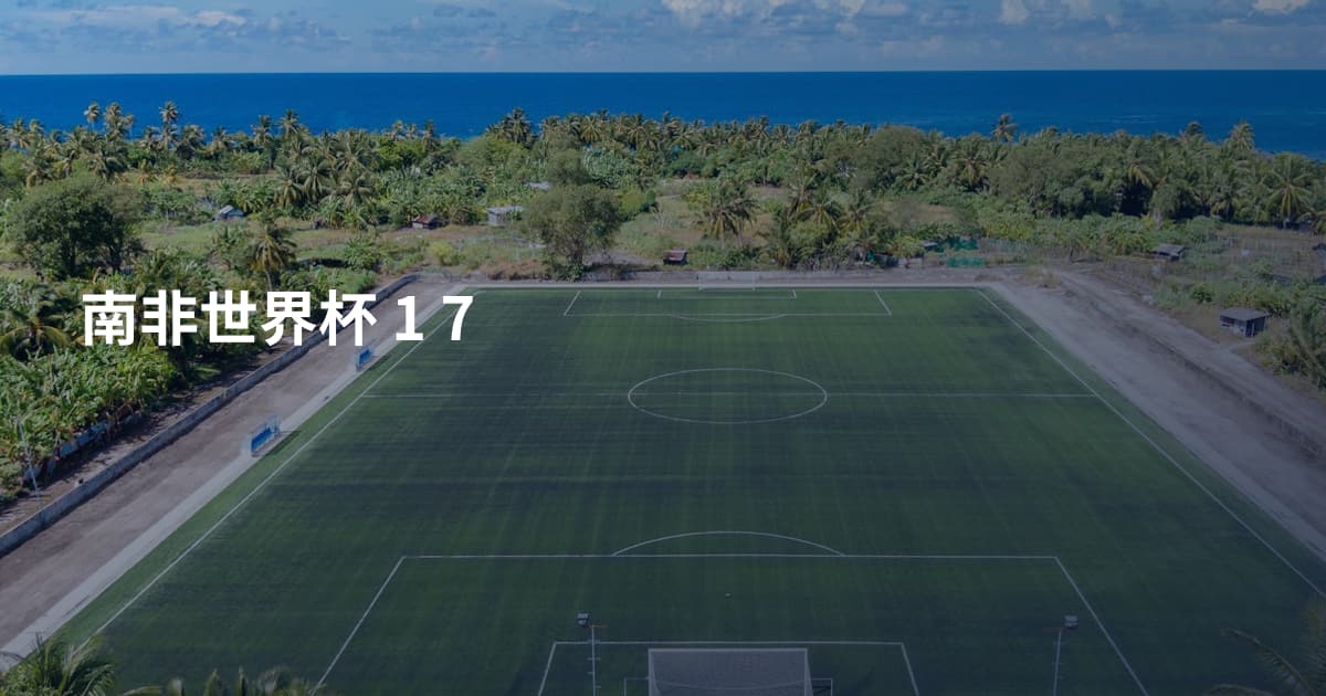 南非世界杯 1 7