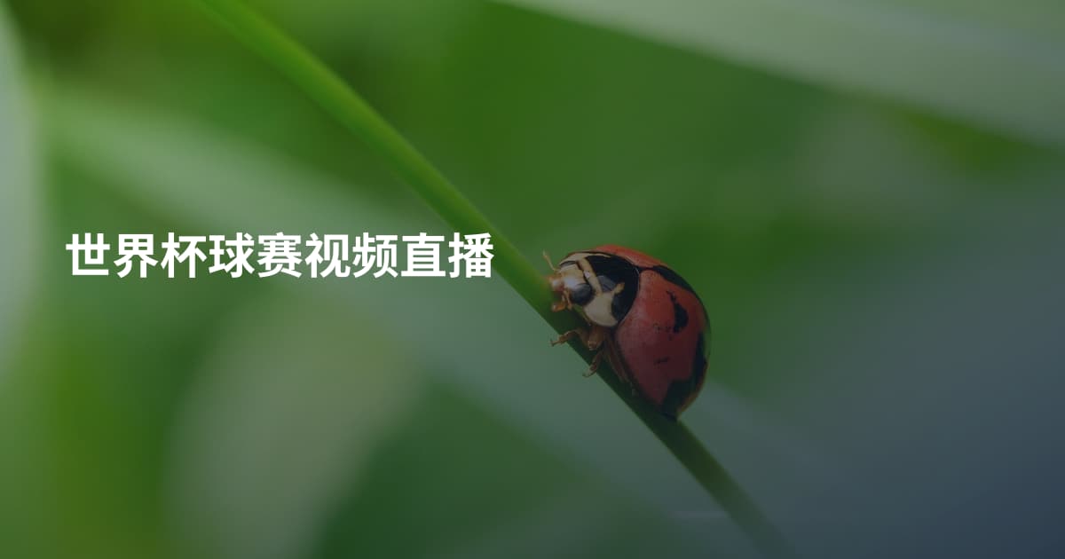 世界杯球赛视频直播