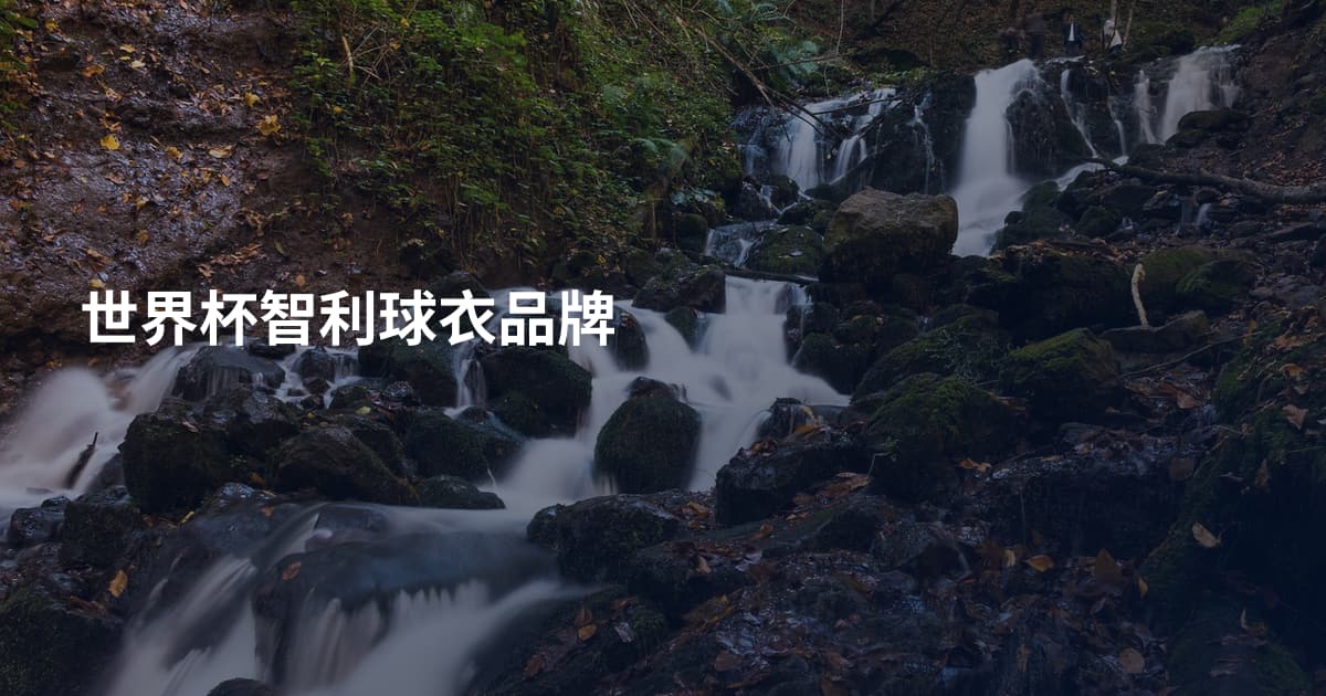 世界杯智利球衣品牌