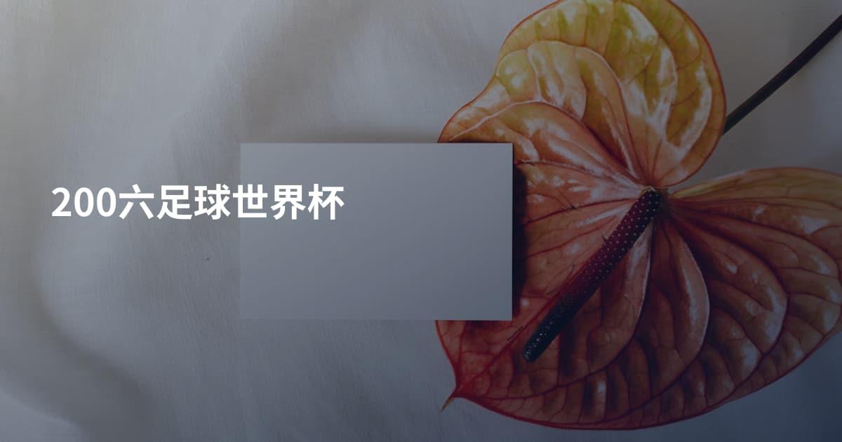 200六足球世界杯