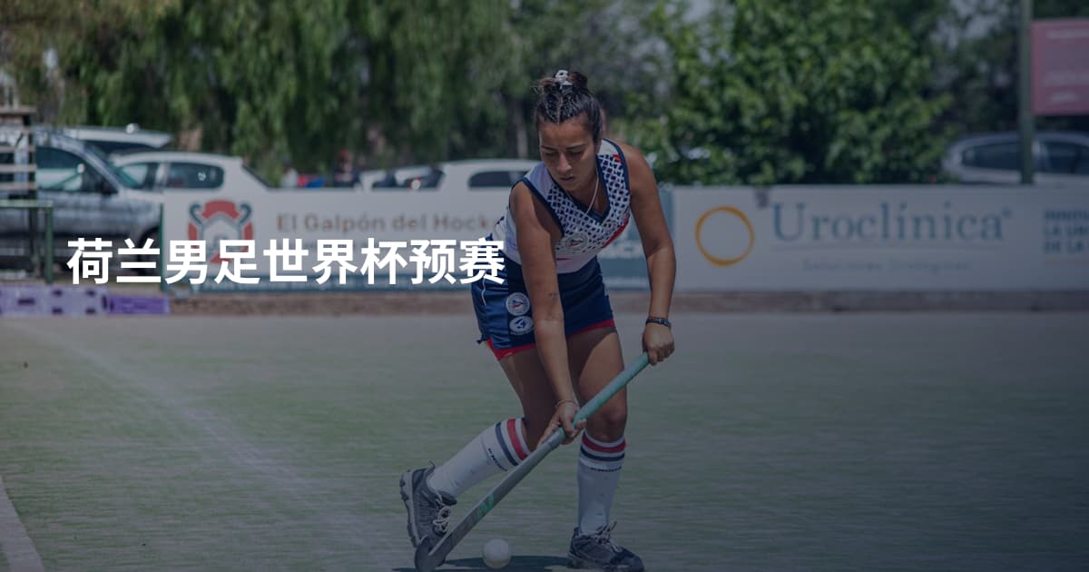 荷兰男足世界杯预赛