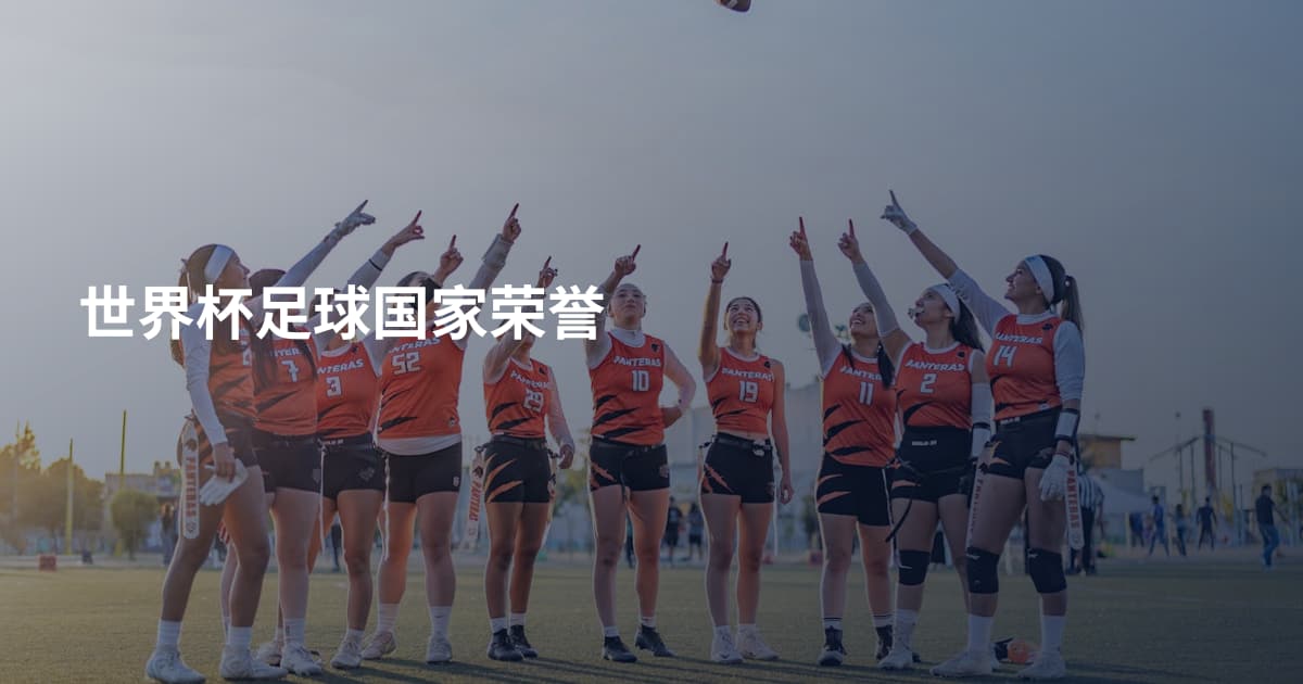 世界杯足球国家荣誉