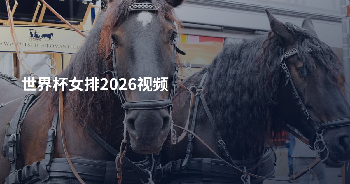 世界杯女排2026视频