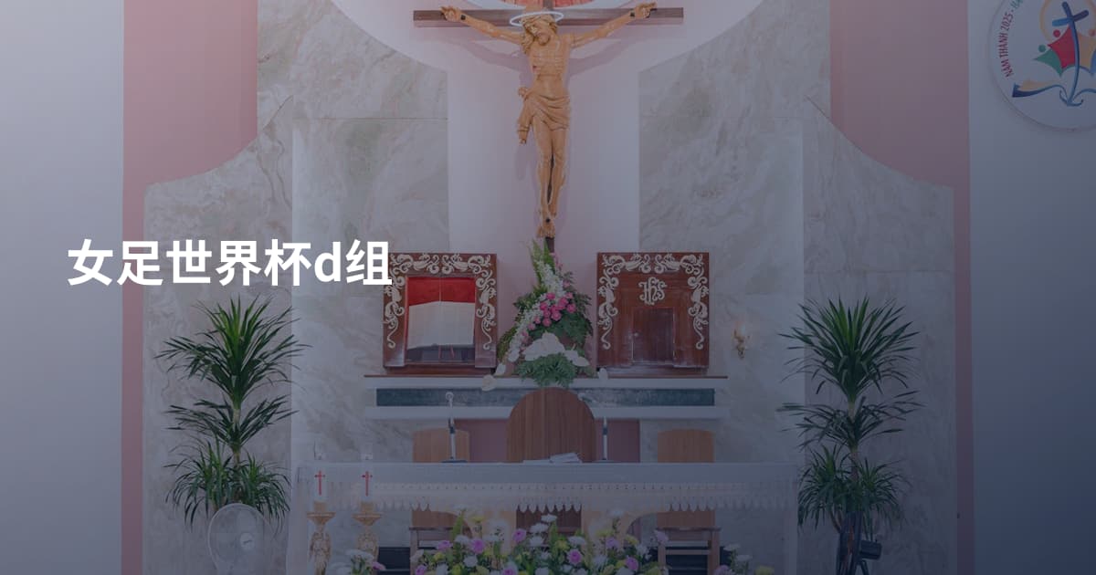 女足世界杯d组