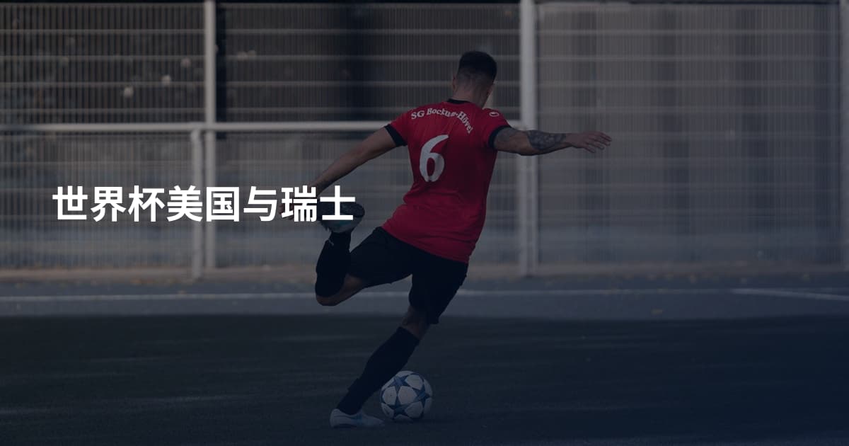 世界杯美国与瑞士