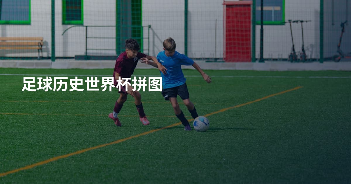 足球历史世界杯拼图