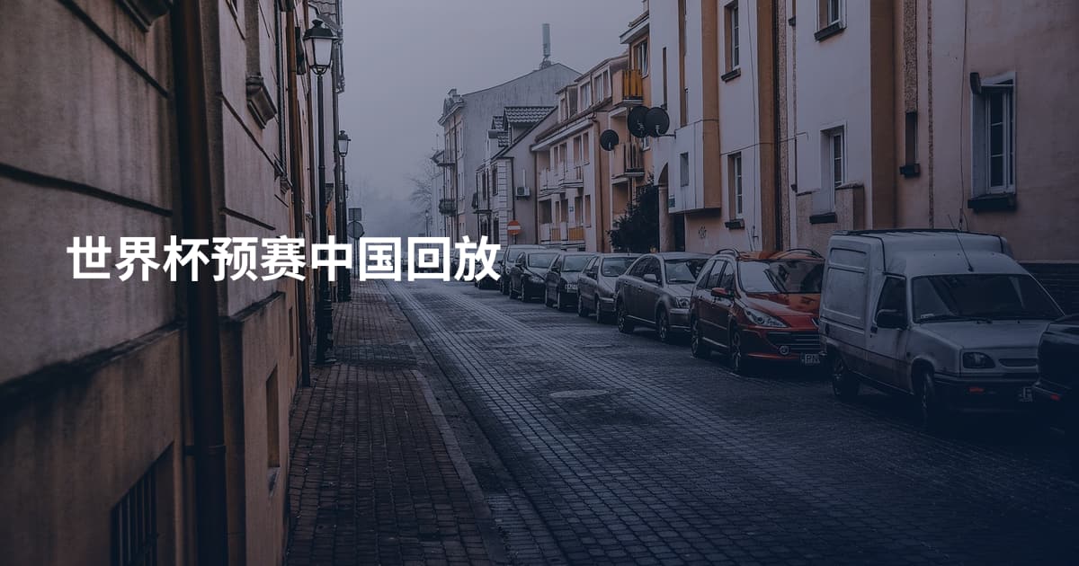 世界杯预赛中国回放