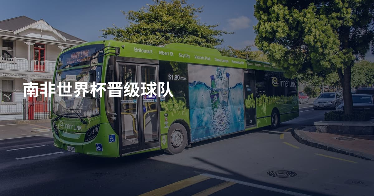 南非世界杯晋级球队