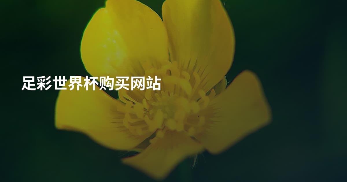 足彩世界杯购买网站