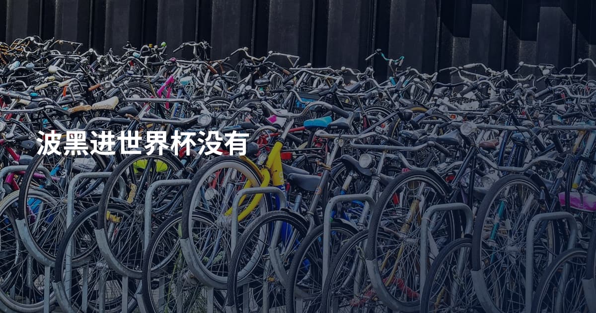 波黑进世界杯没有