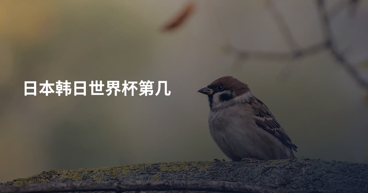 日本韩日世界杯第几