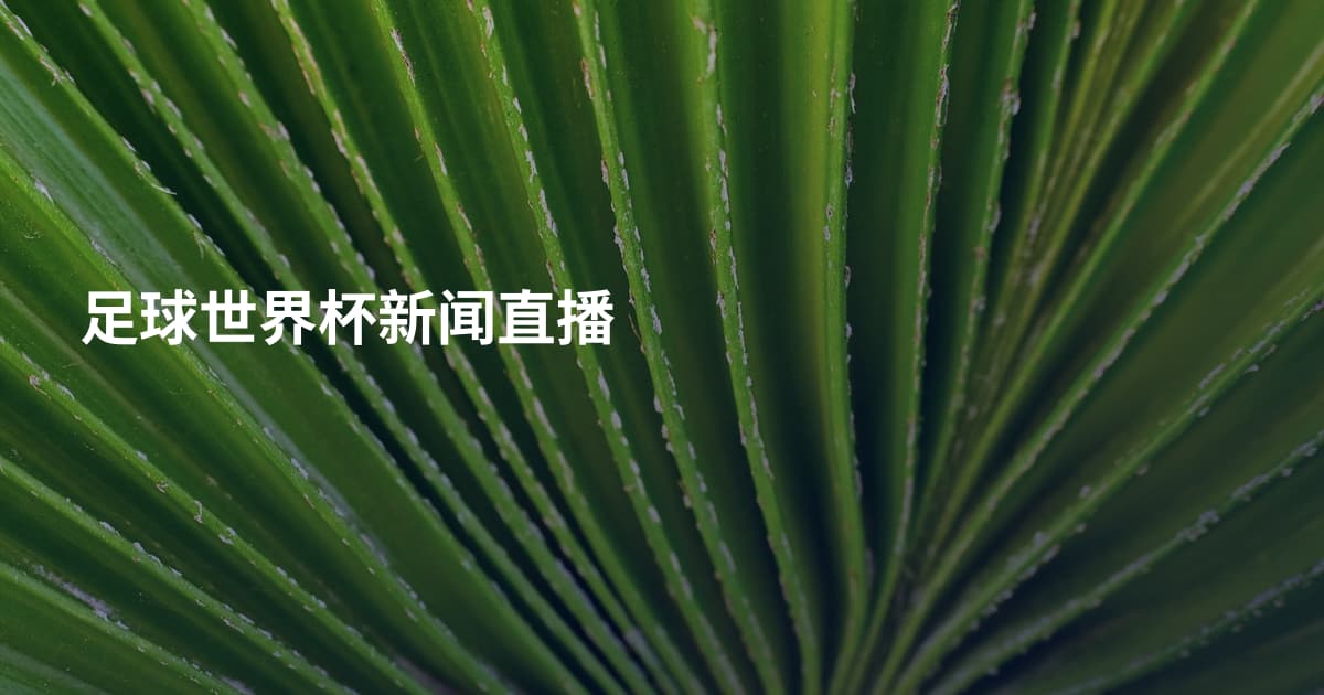足球世界杯新闻直播