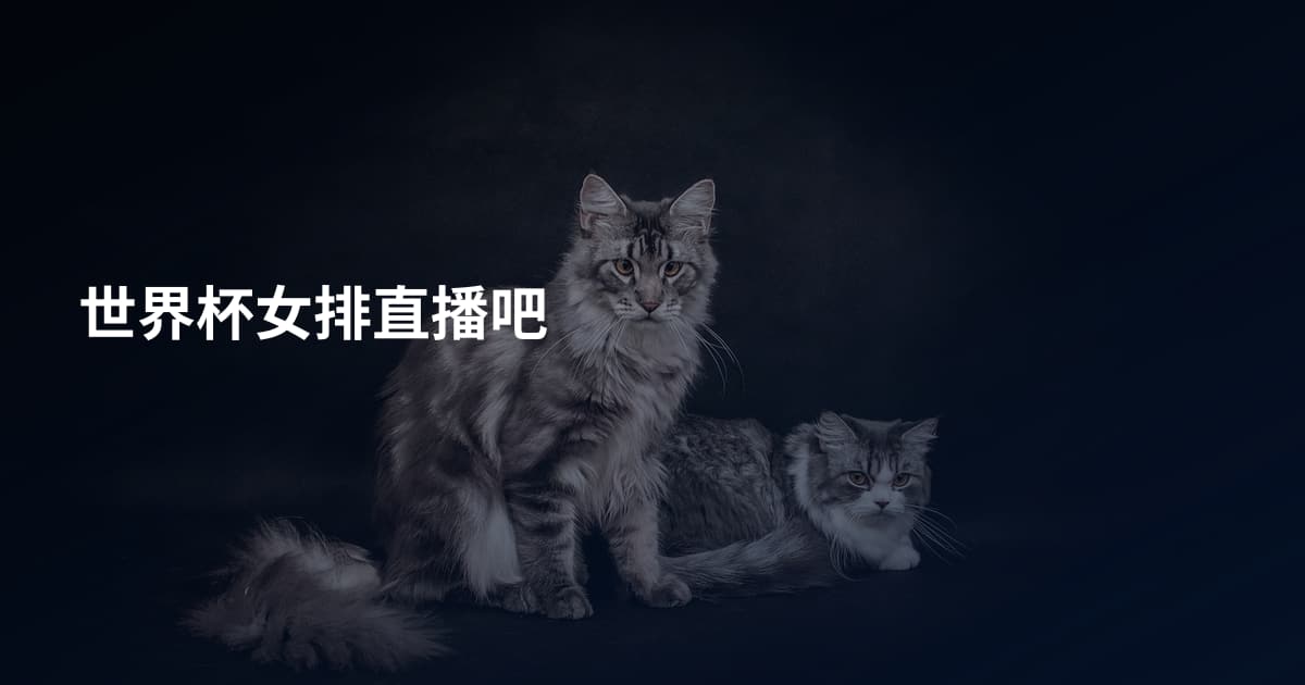 世界杯女排直播吧