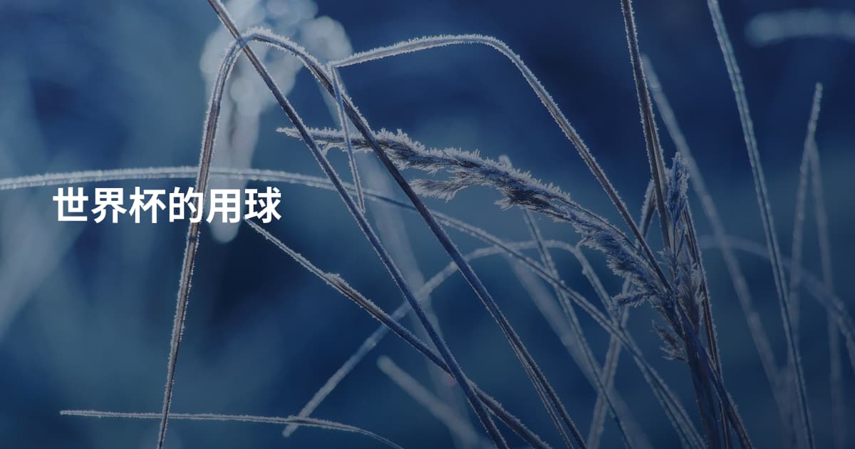 世界杯的用球