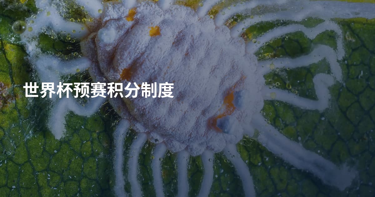 世界杯预赛积分制度