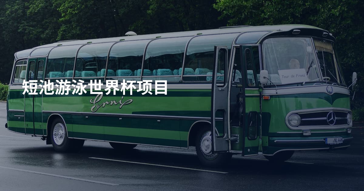 短池游泳世界杯项目