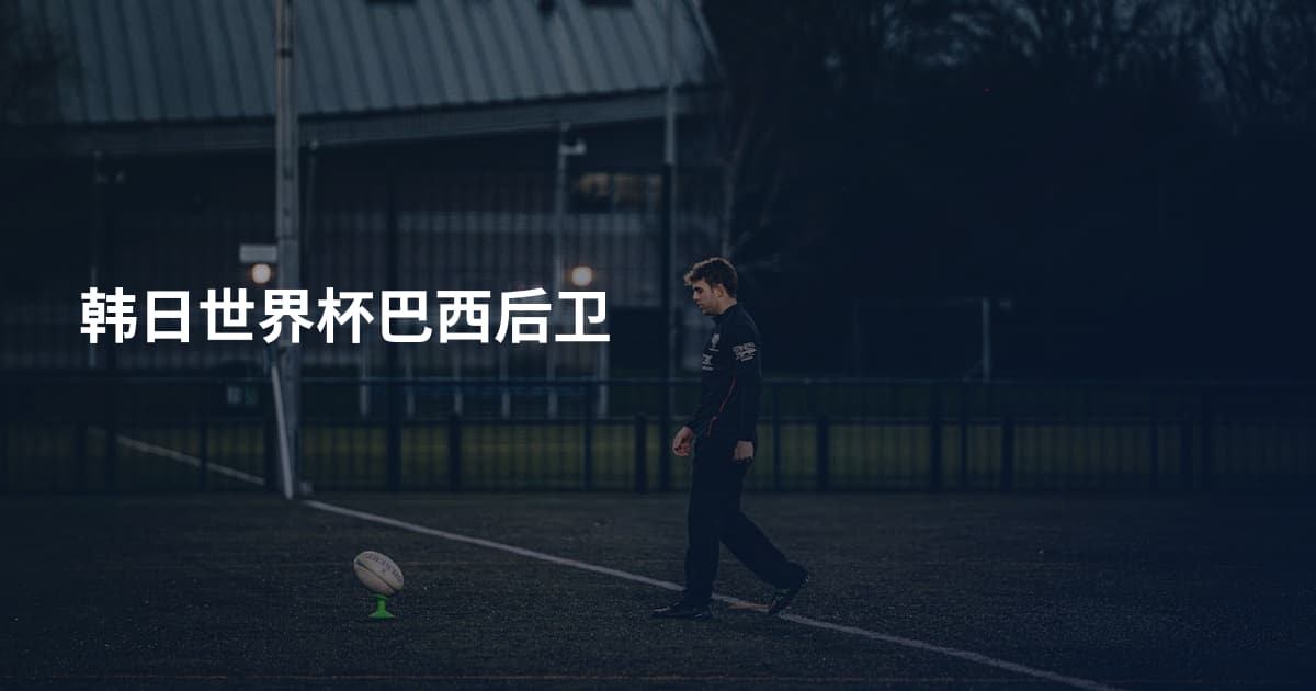韩日世界杯巴西后卫