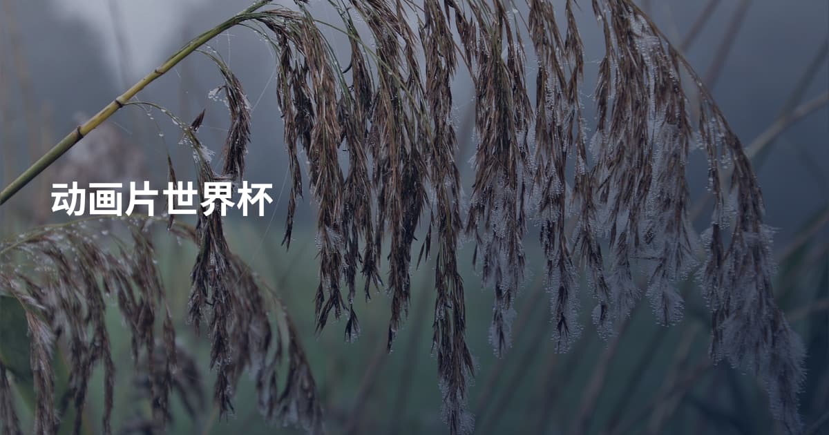 动画片世界杯