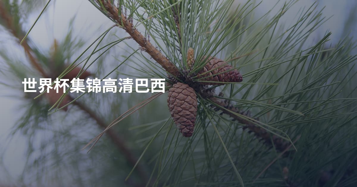 世界杯集锦高清巴西