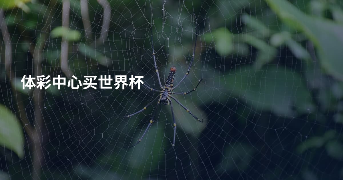 体彩中心买世界杯