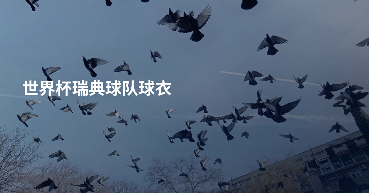 世界杯瑞典球队球衣