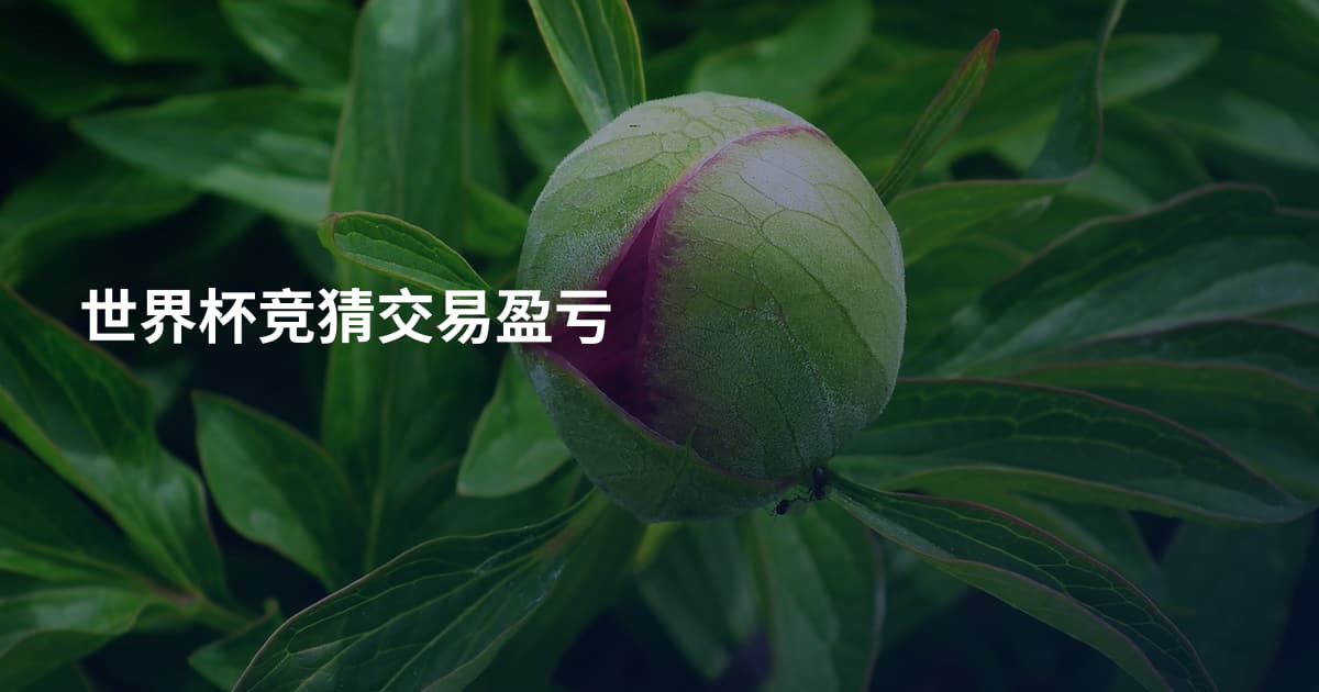 世界杯竞猜交易盈亏