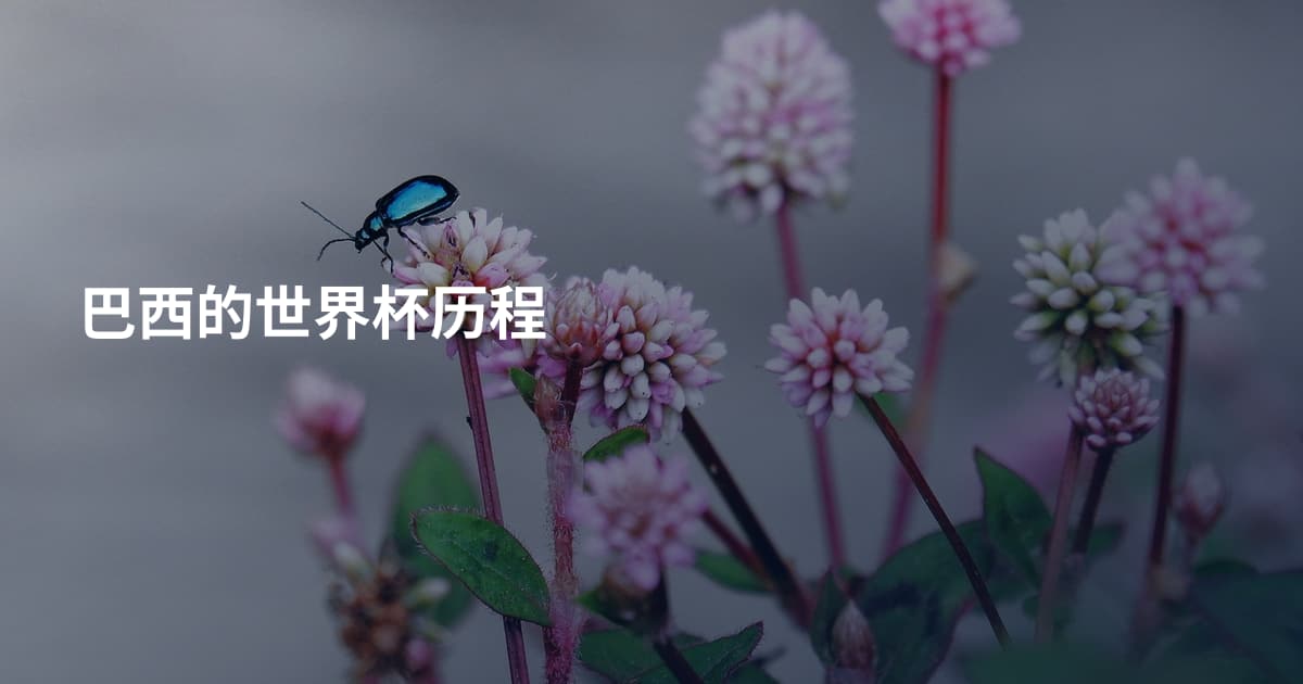 巴西的世界杯历程