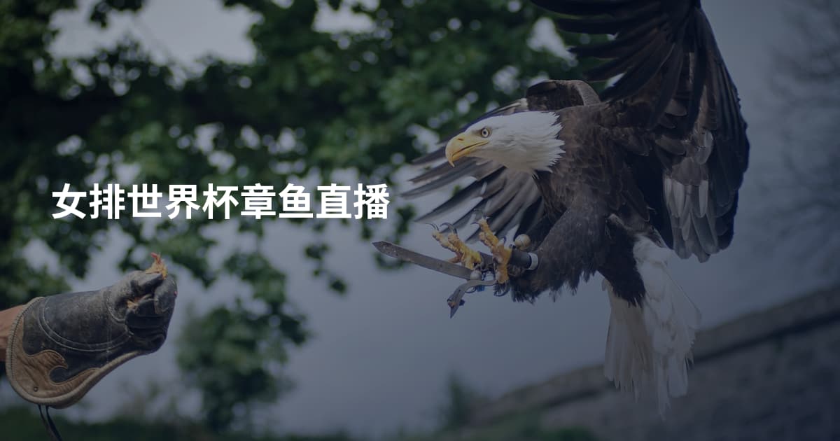 女排世界杯章鱼直播