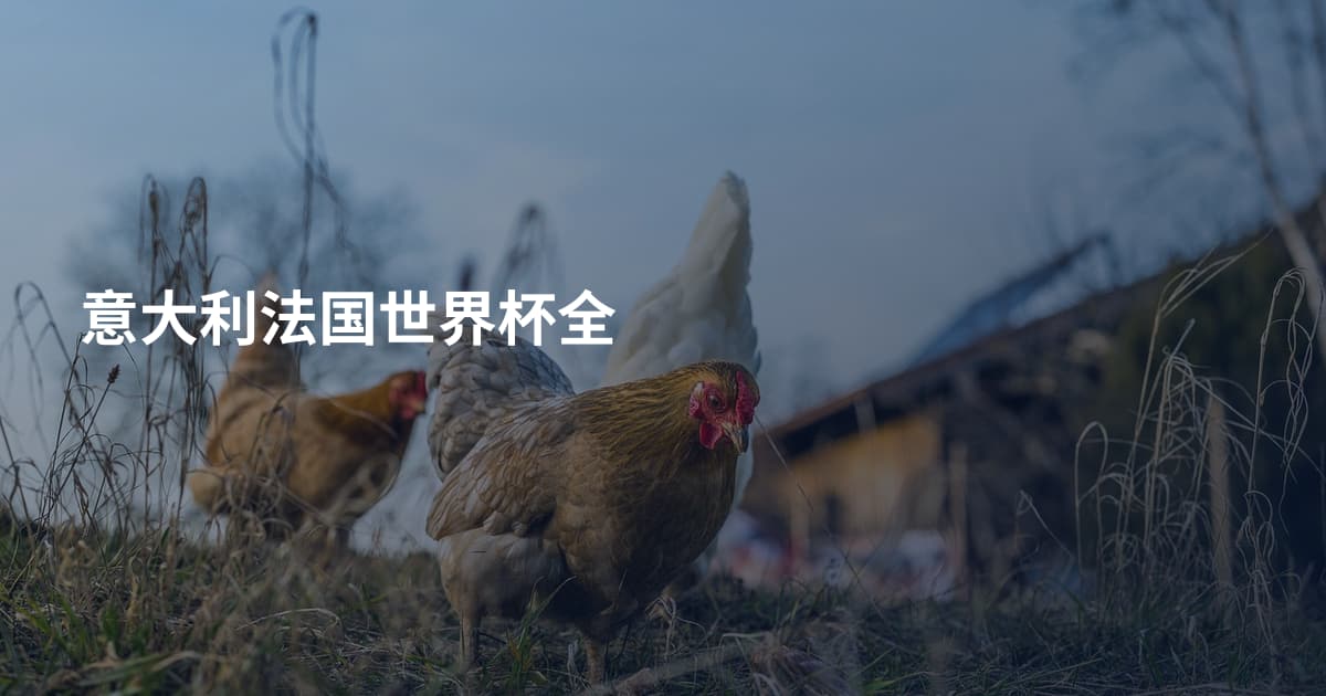 意大利法国世界杯全