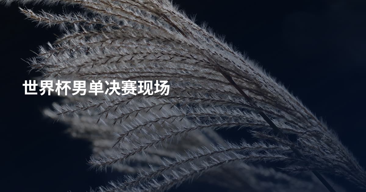 世界杯男单决赛现场