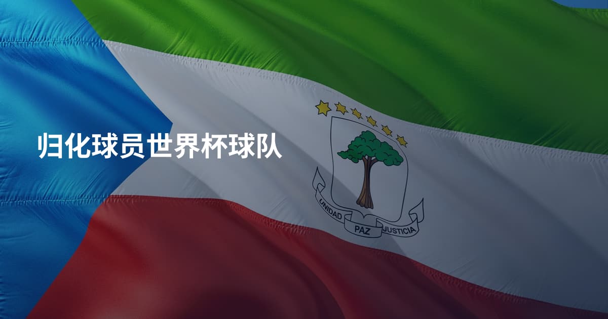 归化球员世界杯球队