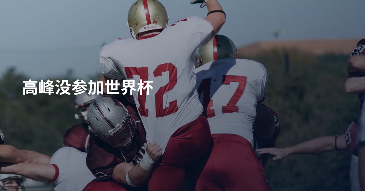 高峰没参加世界杯