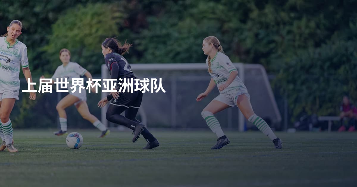 上届世界杯亚洲球队
