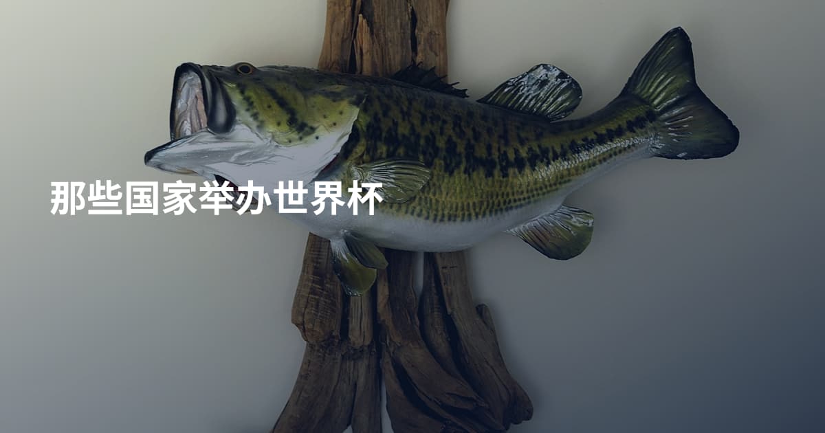 那些国家举办世界杯