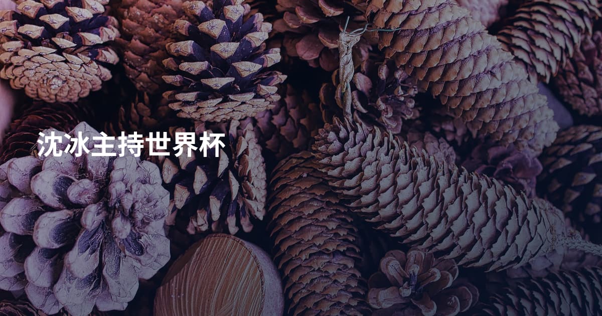 沈冰主持世界杯