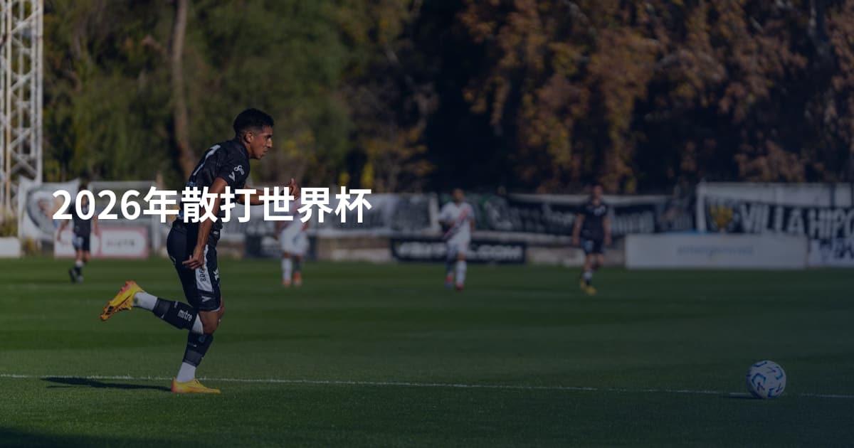2026年散打世界杯
