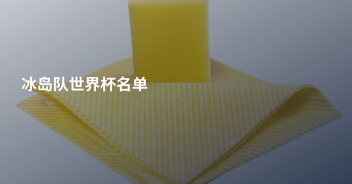 冰岛队世界杯名单
