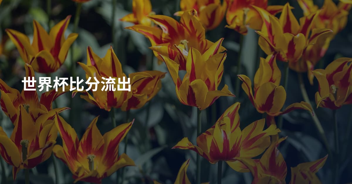 世界杯比分流出