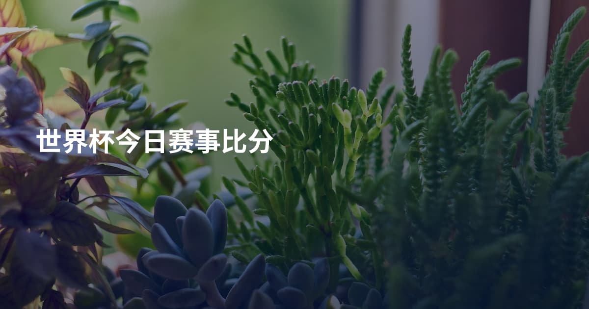 世界杯今日赛事比分