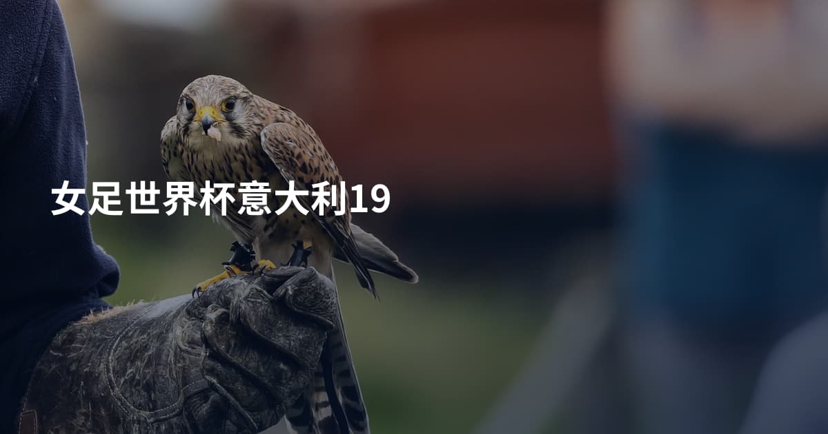 女足世界杯意大利19