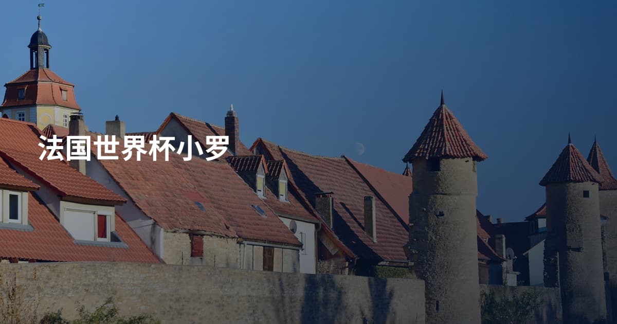 法国世界杯小罗