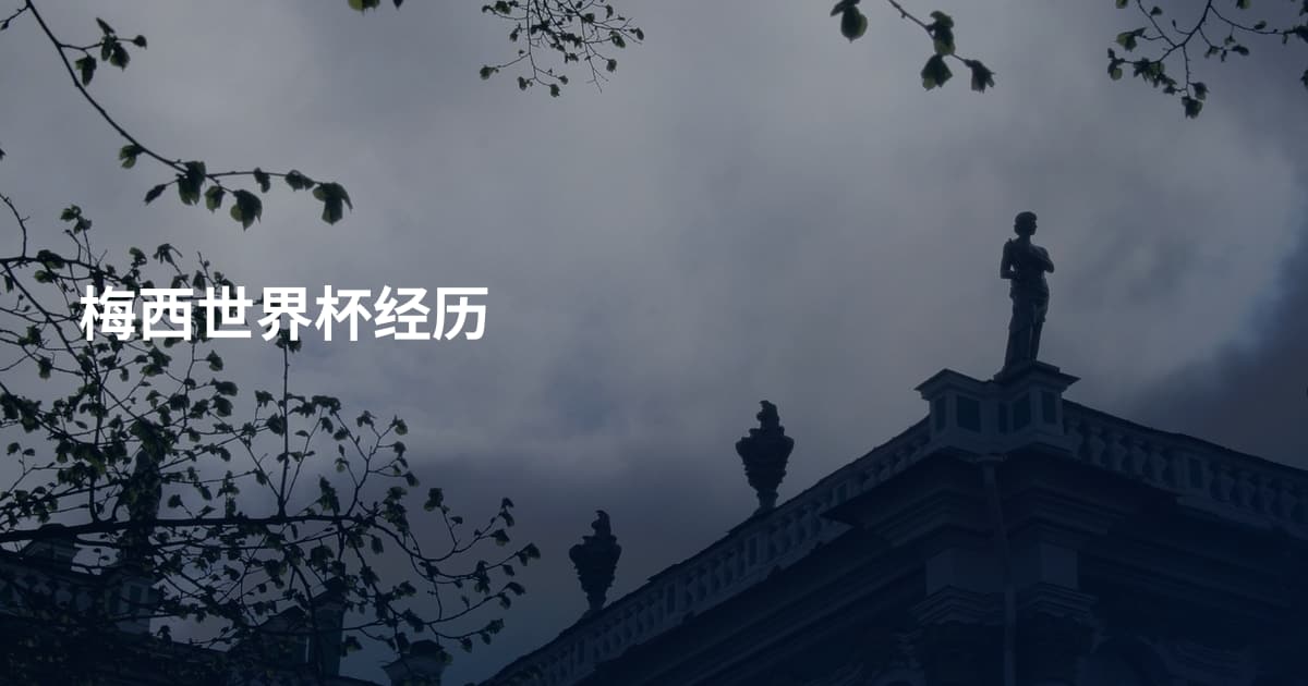 梅西世界杯经历