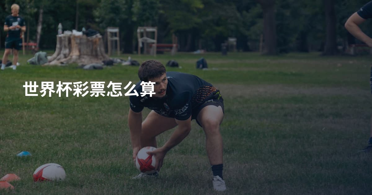 世界杯彩票怎么算