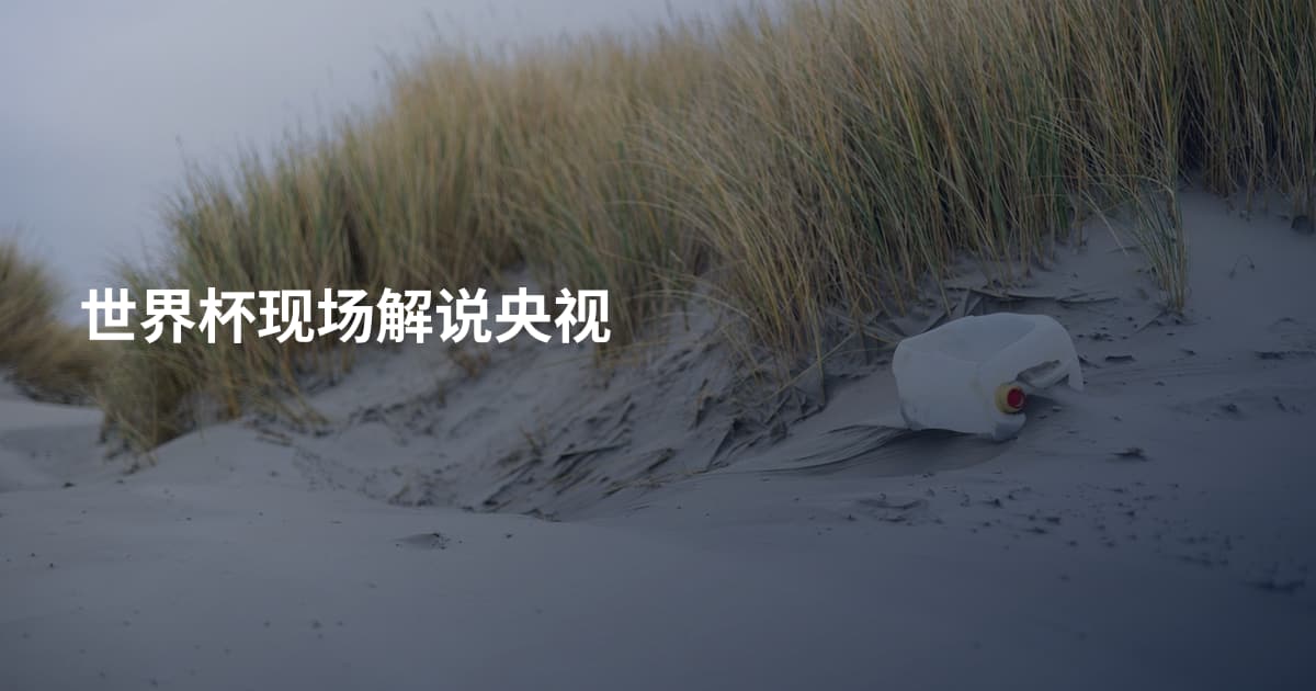 世界杯现场解说央视