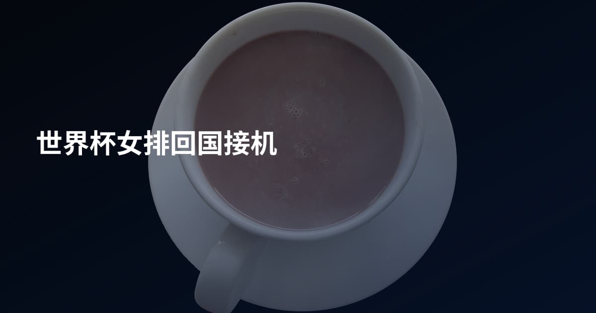 世界杯女排回国接机
